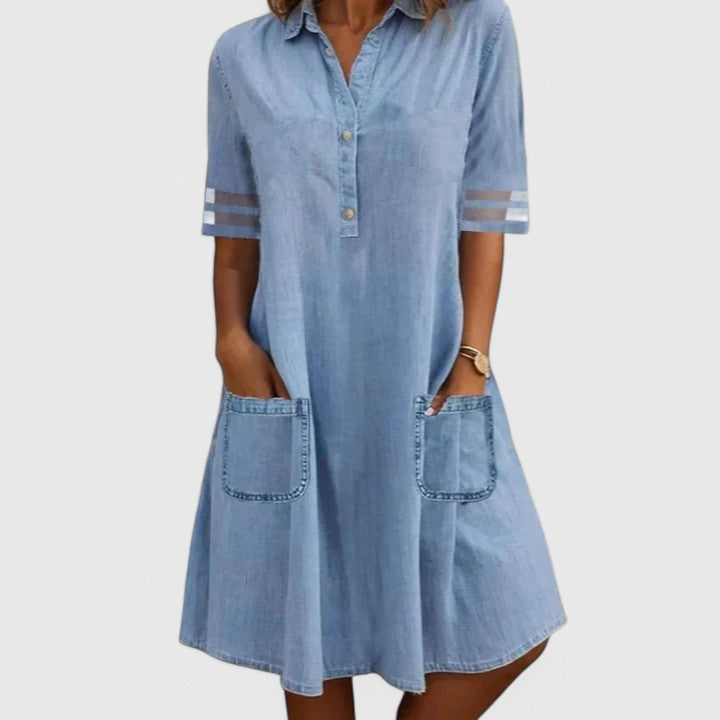 Delphine Button-Front Denim Dress in blue