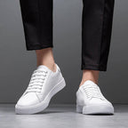 C-White